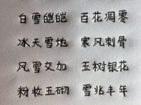 网红写成语,成语新解，网络时代的文化传承与创新
