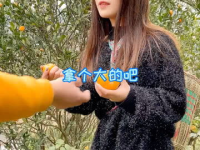清华小姐姐衣服,简约而不失格调的衣橱秘籍