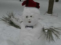 春天的雪写真,春雪映照下的诗意瞬间