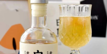 微醺网红,揭秘网络世界的醉人魅力