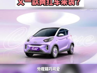 小姐姐买奇瑞,小姐姐倾心选购，见证国产汽车新风采