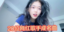网红最火的歌曲,网红音乐热潮下的流行风向标